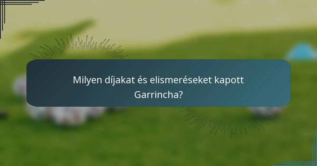 Milyen díjakat és elismeréseket kapott Garrincha?