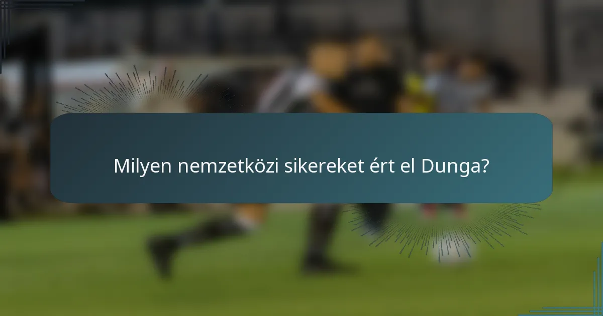 Milyen nemzetközi sikereket ért el Dunga?