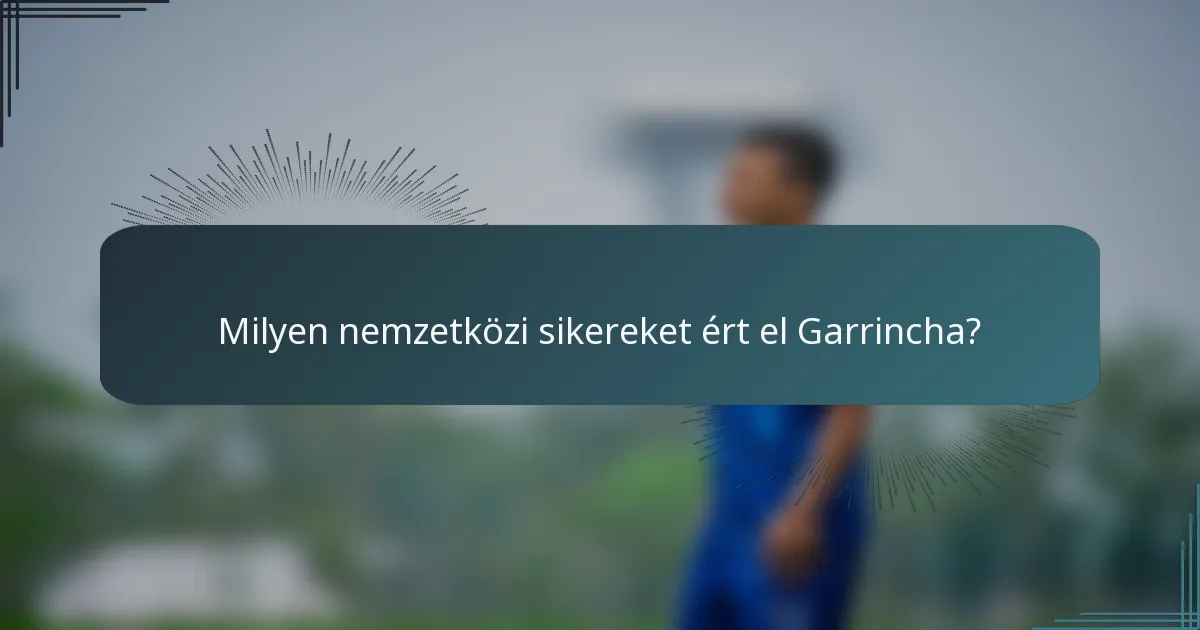 Milyen nemzetközi sikereket ért el Garrincha?